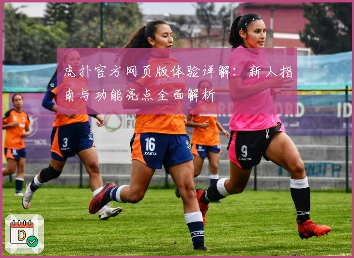 虎扑官方网页版体验详解：新人指南与功能亮点全面解析